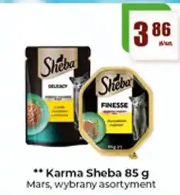 Gildia Karma Sheba oferta