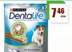 Gildia Purina Dentalife oferta