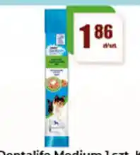 Gildia Dentalife Medium oferta