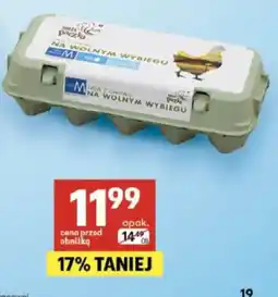 Delikatesy Centrum Jaja z chowu na wolnym wybiegu oferta