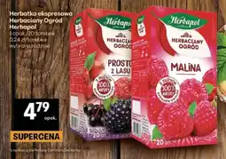 Delikatesy Centrum Herbatka ekspresowa Herbacyjny Ogród Herbapol oferta