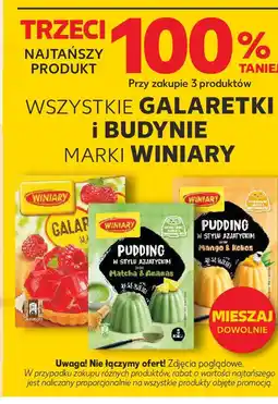 Kaufland WSZYSTKIE GALARETKI I BUDYNIE MARKI WINIARY oferta