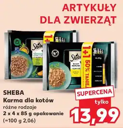 Kaufland Sheba Karma dla kotów oferta