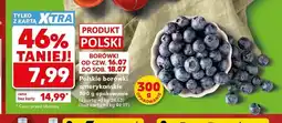 Kaufland Borówki amerykańskie polskie oferta