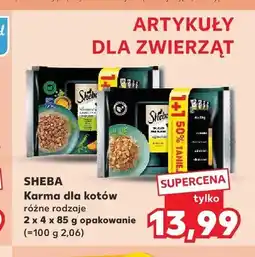 Kaufland Karma dla kotów Sheba 8-pak oferta