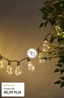 Sinsay Lampki LED oferta