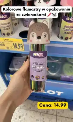 Kaufland Flamastry Strigo School oferta
