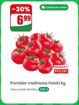 Dino Pomidor malinowy polski oferta