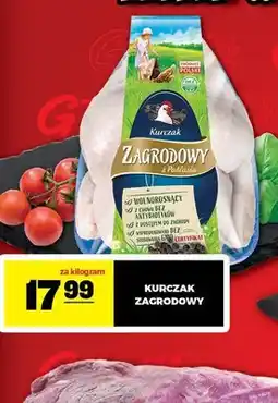 Gram Market Kurczak Zagrodowy z Podlasia oferta