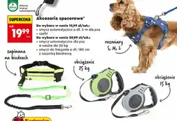 Biedronka Smycz automatyczna dla psa Activ'Pet oferta
