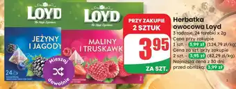 Dino Herbatka owocowa Loyd oferta