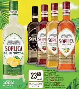Dino Soplica Cytrynówka oferta