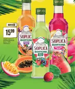 Dino Likier Soplica Różne Rodzaje oferta