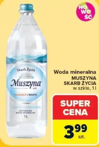 Carrefour Woda mineralna Muszyna Skarb Życia oferta