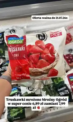 Dino Truskawki mrożone całe Mroźny Ogród oferta