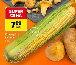 Carrefour Kukurydza świeża oferta