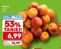 Kaufland Morele luzem 1 kg oferta