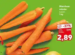 Kaufland Marchew młoda luzem 1 kg oferta