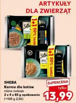Kaufland SHEBA Karma dla kotów oferta