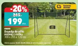 Biedronka Bramka do piłki nożnej z siatką oferta