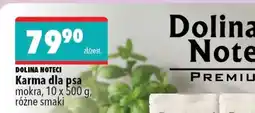 Biedronka Dolina Noteci oferta