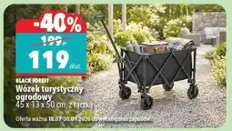 Biedronka Wózek turystyczny ogrodowy oferta