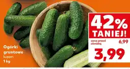 Kaufland Ogórki oferta