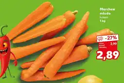 Kaufland Marchew oferta