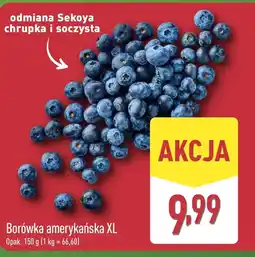 ALDI Borówka amerykańska oferta