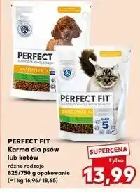 Kaufland Karma dla psów lub kotów Perfect Fit różne rodzaje oferta