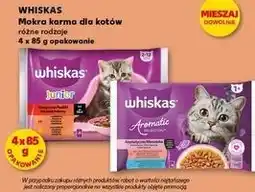 Kaufland Mokra karma dla kotów Whiskas różne rodzaje oferta