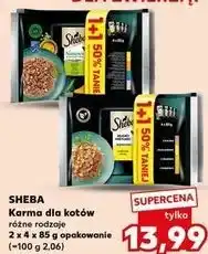 Kaufland Karma dla kotów Sheba różne rodzaje oferta