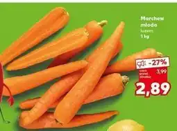 Kaufland Marchew młoda oferta