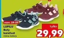 Kaufland Lupilu Buty barefoot dziecięce oferta
