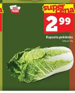 Topaz Kapusta pekińska oferta
