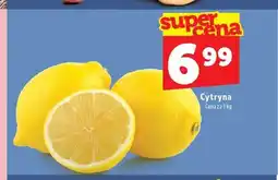 Topaz Cytryna oferta