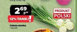 Netto Cebula dymka Z Zieleniaka oferta