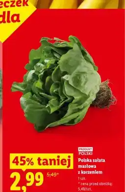 Lidl Sałata masłowa z korzeniem polska oferta