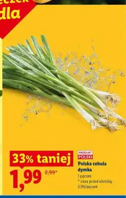 Lidl Cebula dymka polska oferta