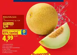 Lidl Melon Galia luzem oferta