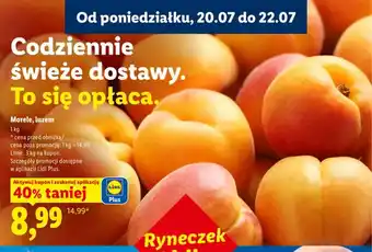 Lidl Morele luzem oferta