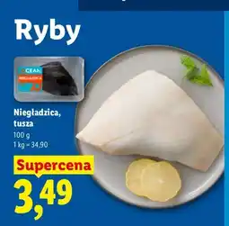 Lidl Niegładzica tusza Ocean oferta