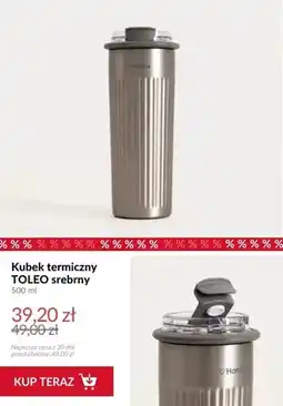 Homla Kubek termiczny Homla TOLEO srebrny oferta
