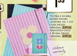Dino Teczka z gumką Rexus A4 oferta