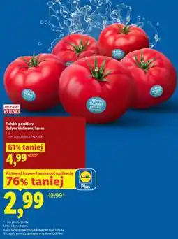 Lidl Polskie pomidory oferta