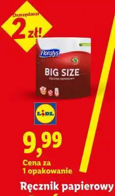 Lidl Ręcznik papierowy Floraly's Big Size oferta