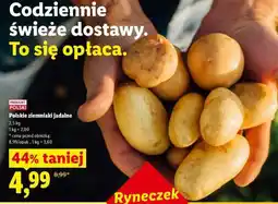 Lidl Polskie ziemniaki jadalne oferta