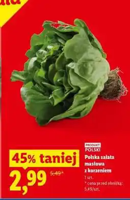 Lidl Polska sałata masłowa z korzeniem oferta