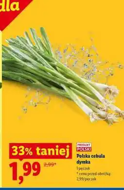 Lidl Polska cebula dymka oferta