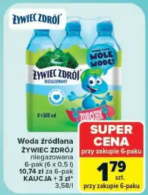 Carrefour ŻYWIEC ZDRÓJ oferta